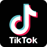TikTok for Android 19 1 3 Download