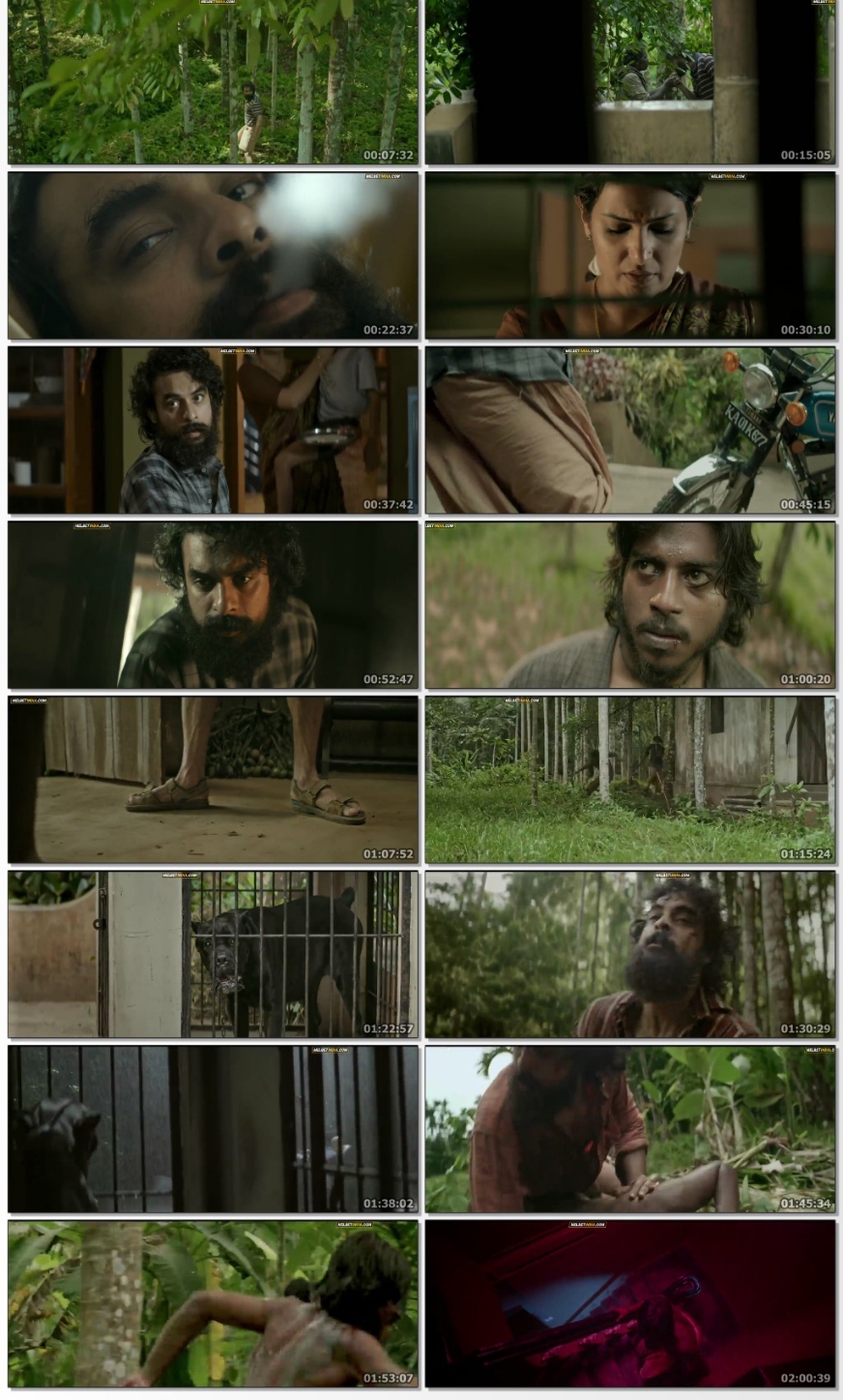  Screenshot Of Kala-2021-WEB-DL-South-Dubbed-Dual-Audio-Hindi-HQ-VoiceOver-And-Malayalam-Full-Movie-Download-In-Hd